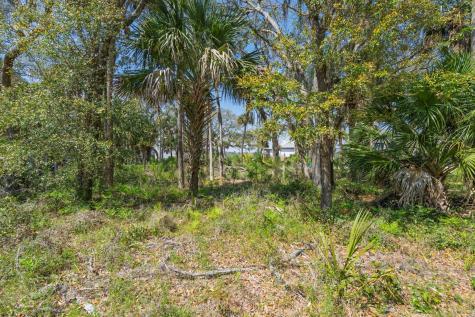 307 Jungle Road Edisto Beach SC 29438