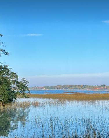 Lot 35 Josie Ridge Wadmalaw Island SC 29487