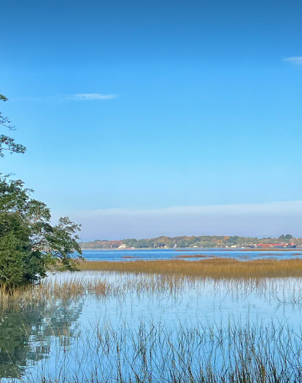 Lot 35 Josie Ridge Wadmalaw Island SC 29487