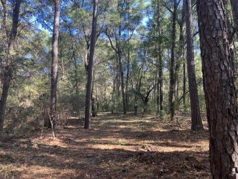 Lot 35 Josie Ridge Wadmalaw Island SC 29487