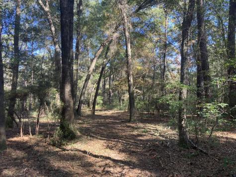 Lot 35 Josie Ridge Wadmalaw Island SC 29487