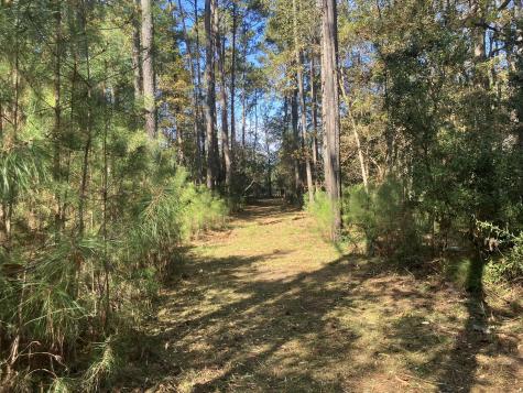 Lot 35 Josie Ridge Wadmalaw Island SC 29487