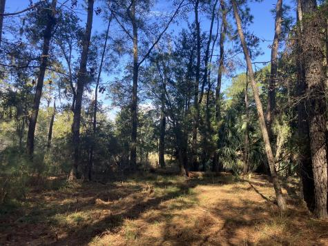 Lot 35 Josie Ridge Wadmalaw Island SC 29487