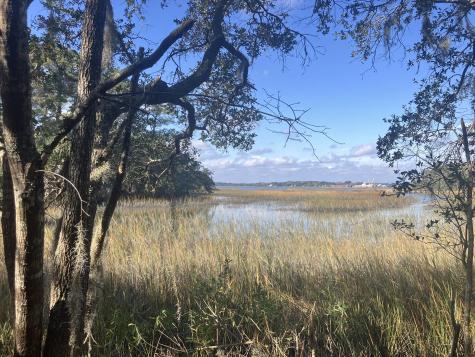 Lot 35 Josie Ridge Wadmalaw Island SC 29487