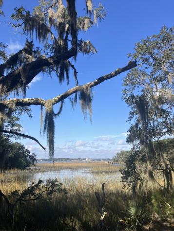 Lot 35 Josie Ridge Wadmalaw Island SC 29487
