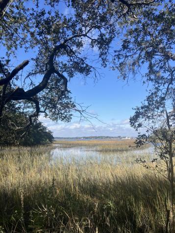 Lot 35 Josie Ridge Wadmalaw Island SC 29487