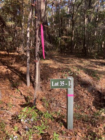 Lot 35 Josie Ridge Wadmalaw Island SC 29487