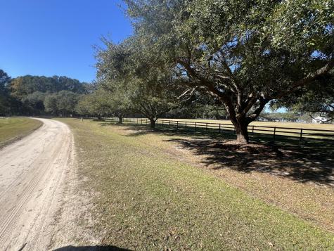 Lot 35 Josie Ridge Wadmalaw Island SC 29487