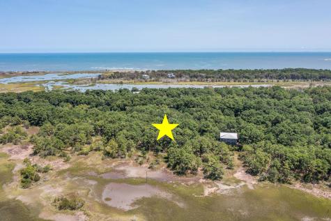 318 Old House Lane Dewees Island SC 29451