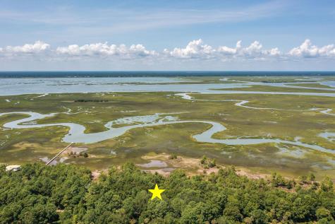 318 Old House Lane Dewees Island SC 29451