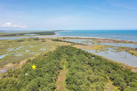 318 Old House Lane Dewees Island SC 29451