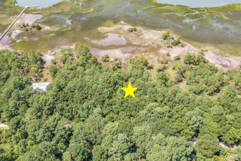 318 Old House Lane Dewees Island SC 29451