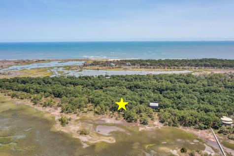 318 Old House Lane Dewees Island SC 29451