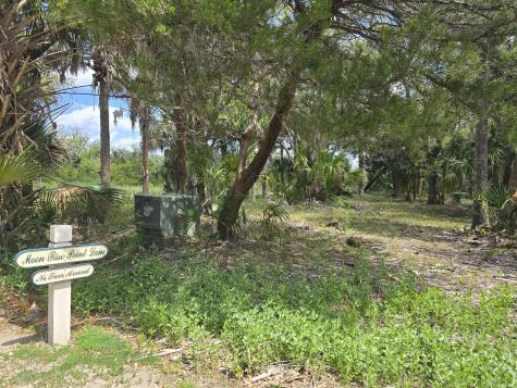 24 Moon Fever Court Edisto Beach SC 29438