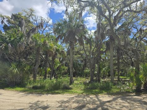 24 Moon Fever Court Edisto Beach SC 29438