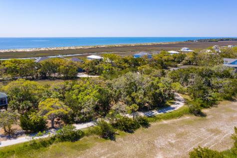 24 Moon Fever Court Edisto Beach SC 29438