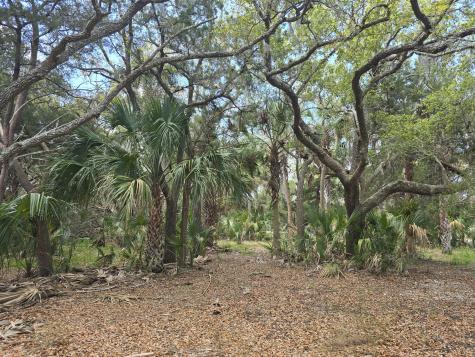 24 Moon Fever Court Edisto Beach SC 29438