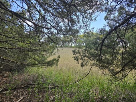 24 Moon Fever Court Edisto Beach SC 29438
