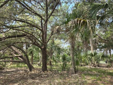 24 Moon Fever Court Edisto Beach SC 29438