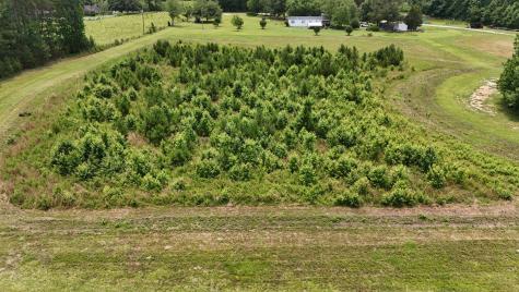 Tbd Dawson Branch Road Summerville SC 29483