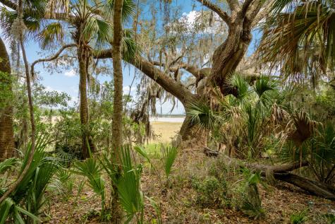 54 Bud Miley Drive Saint Helena Island SC 29920