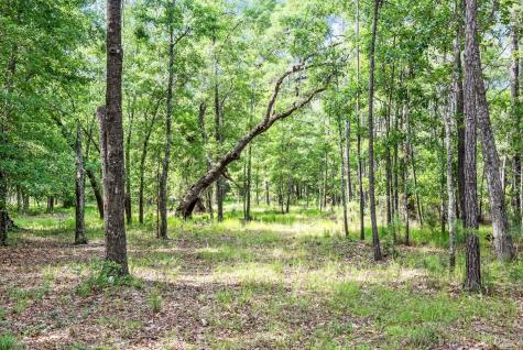 0 Allandale Plantation Road Wadmalaw Island SC 29487