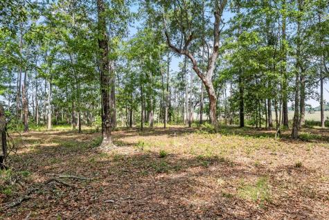 0 Allandale Plantation Road Wadmalaw Island SC 29487