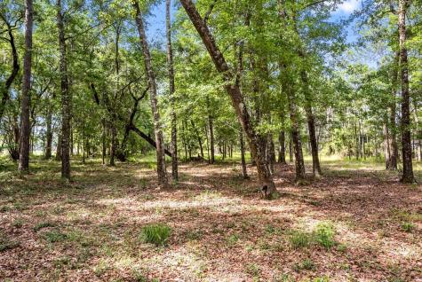 0 Allandale Plantation Road Wadmalaw Island SC 29487