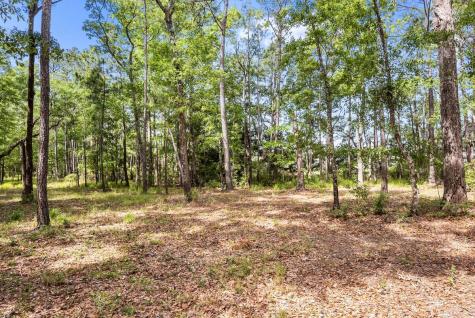 0 Allandale Plantation Road Wadmalaw Island SC 29487