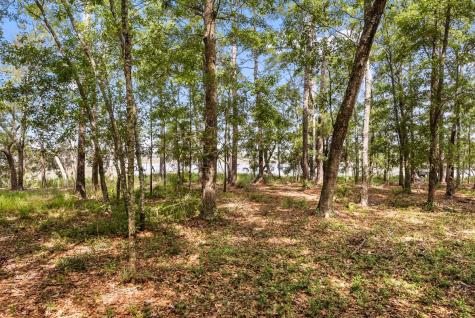 0 Allandale Plantation Road Wadmalaw Island SC 29487