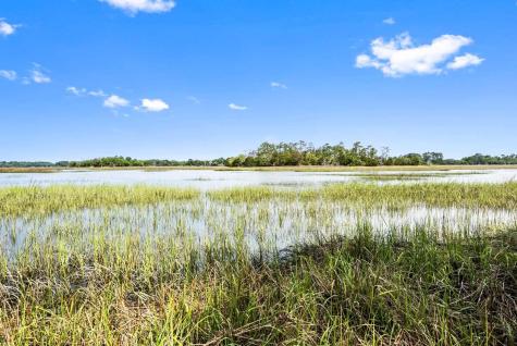 0 Allandale Plantation Road Wadmalaw Island SC 29487
