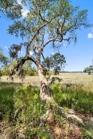 0 Allandale Plantation Road Wadmalaw Island SC 29487