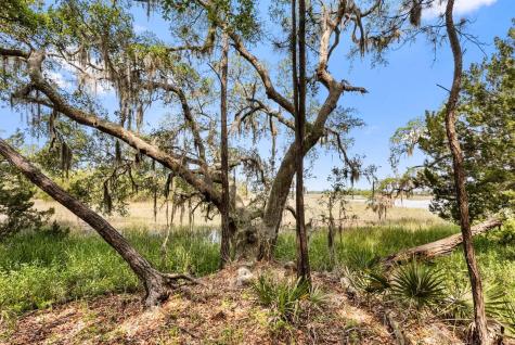 0 Allandale Plantation Road Wadmalaw Island SC 29487