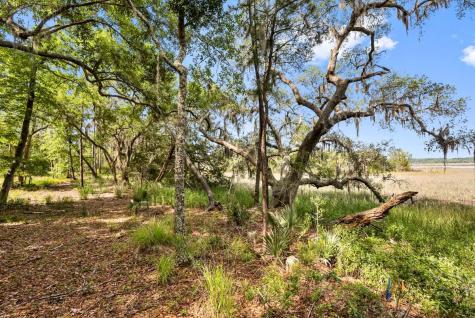 0 Allandale Plantation Road Wadmalaw Island SC 29487