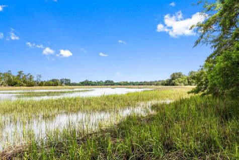 0 Allandale Plantation Road Wadmalaw Island SC 29487