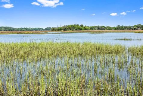 0 Allandale Plantation Road Wadmalaw Island SC 29487