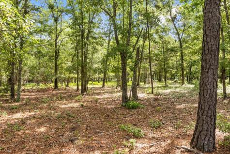 0 Allandale Plantation Road Wadmalaw Island SC 29487