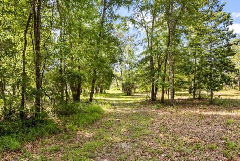 0 Allandale Plantation Road Wadmalaw Island SC 29487