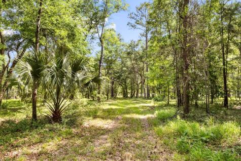 0 Allandale Plantation Road Wadmalaw Island SC 29487