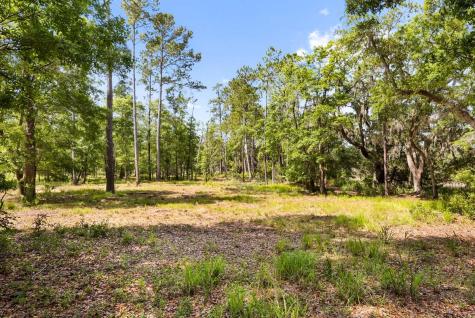 0 Allandale Plantation Road Wadmalaw Island SC 29487