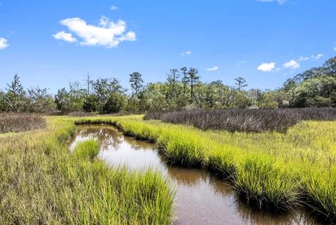 0 Allandale Plantation Road Wadmalaw Island SC 29487