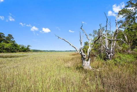 0 Allandale Plantation Road Wadmalaw Island SC 29487