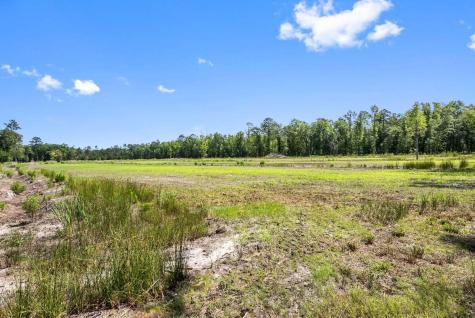 0 Allandale Plantation Road Wadmalaw Island SC 29487