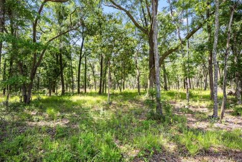 0 Allandale Plantation Road Wadmalaw Island SC 29487