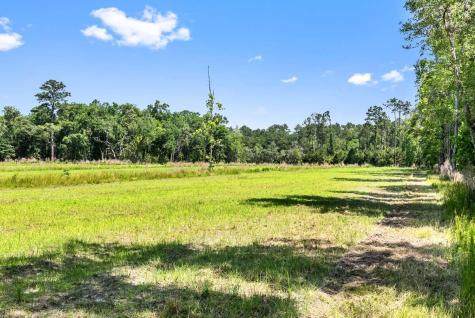 0 Allandale Plantation Road Wadmalaw Island SC 29487
