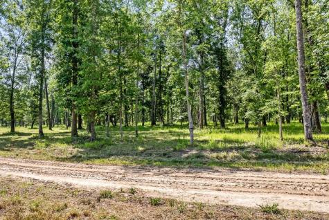 0 Allandale Plantation Road Wadmalaw Island SC 29487