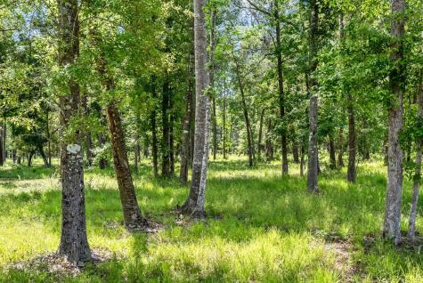 0 Allandale Plantation Road Wadmalaw Island SC 29487