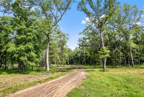 0 Allandale Plantation Road Wadmalaw Island SC 29487