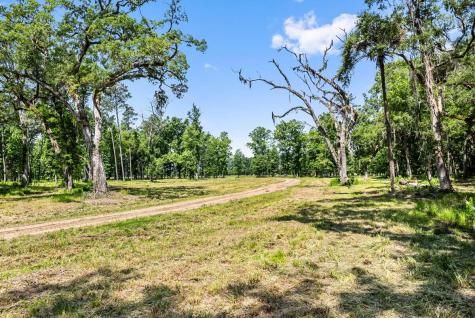 0 Allandale Plantation Road Wadmalaw Island SC 29487