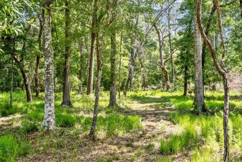 0 Allandale Plantation Road Wadmalaw Island SC 29487